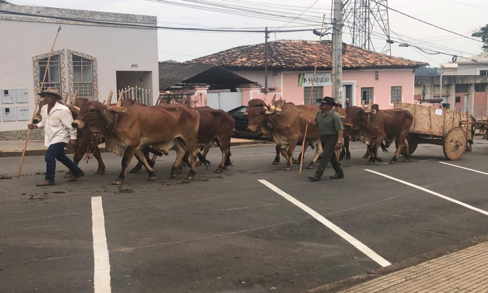 ENCONTRO DE CARREIROS 2022