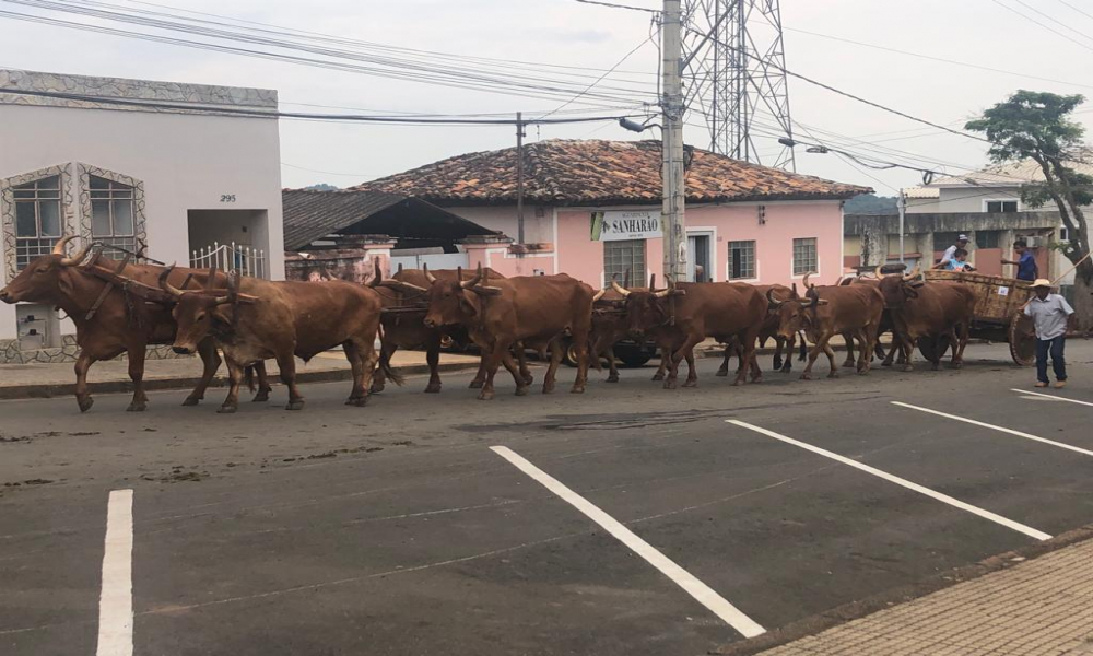 ENCONTRO DE CARREIROS 2022