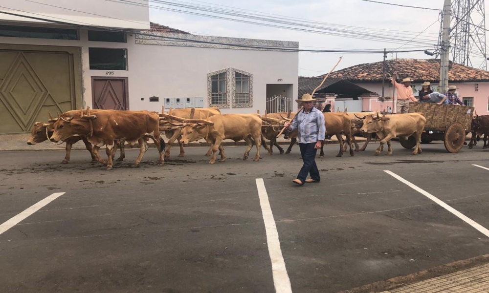 ENCONTRO DE CARREIROS 2022