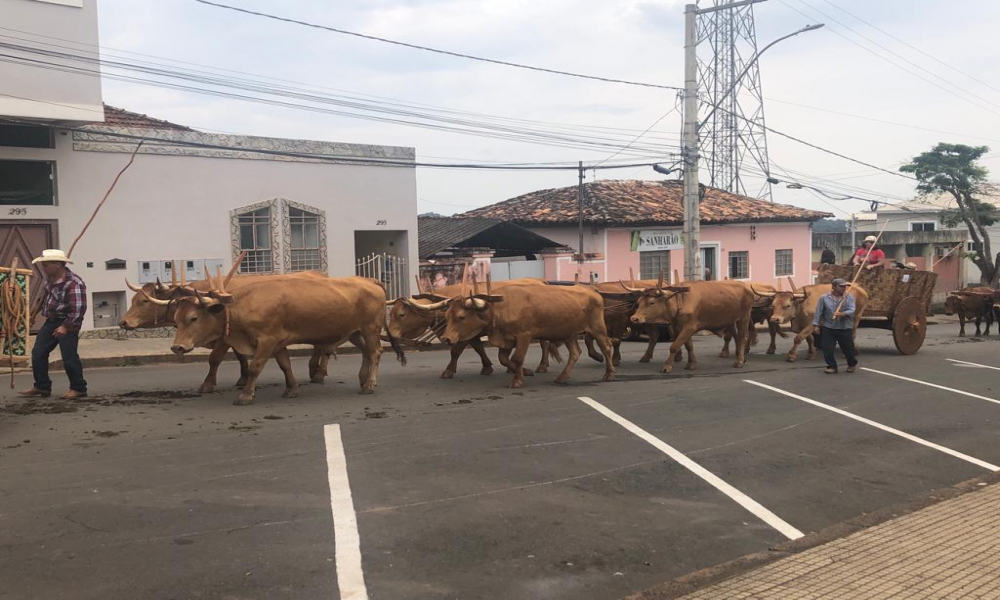 ENCONTRO DE CARREIROS 2022