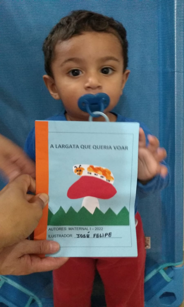 PROJETO MEU 1º LIVRO