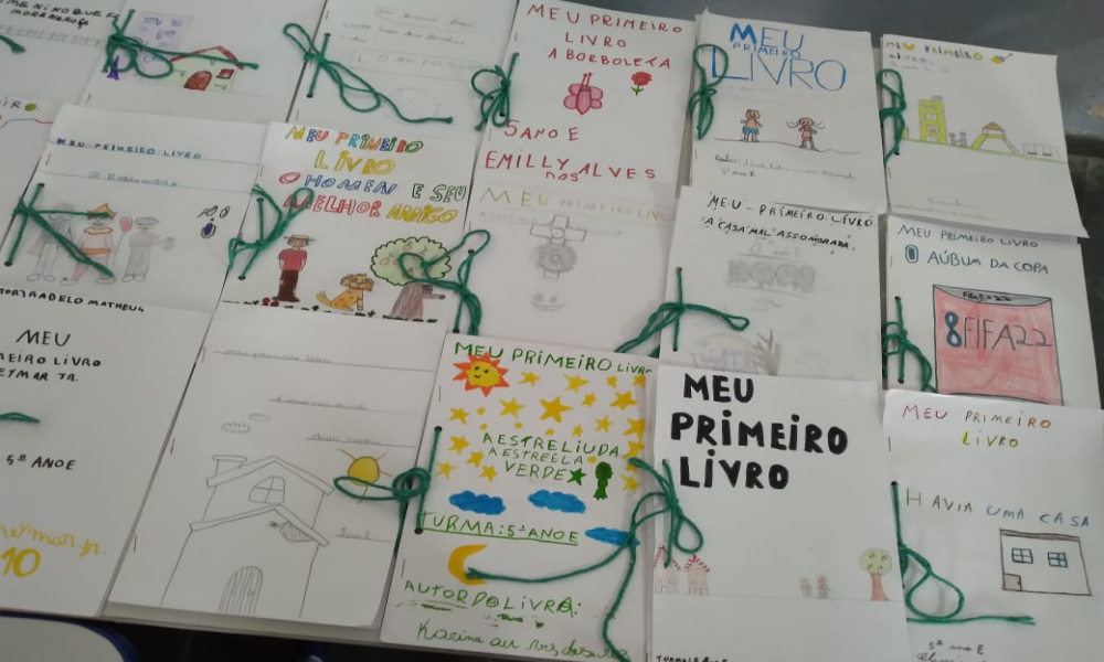 PROJETO MEU 1º LIVRO